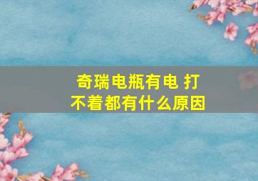 奇瑞电瓶有电 打不着都有什么原因